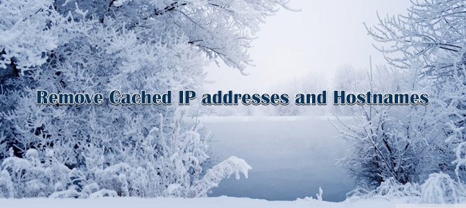 حذف IP های ذخیره شده در VMware vSphere Client