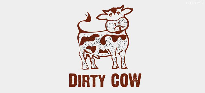 معرفی و روش حل آسیب‌پذیری گاو کثیف Dirty COW در لینوکس