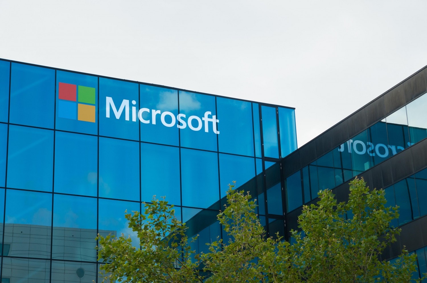 microsoft windows