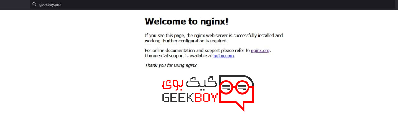وب سرور nginx